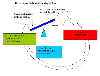 Schéma d'une boucle de régulation
