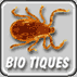 logo_biotiques